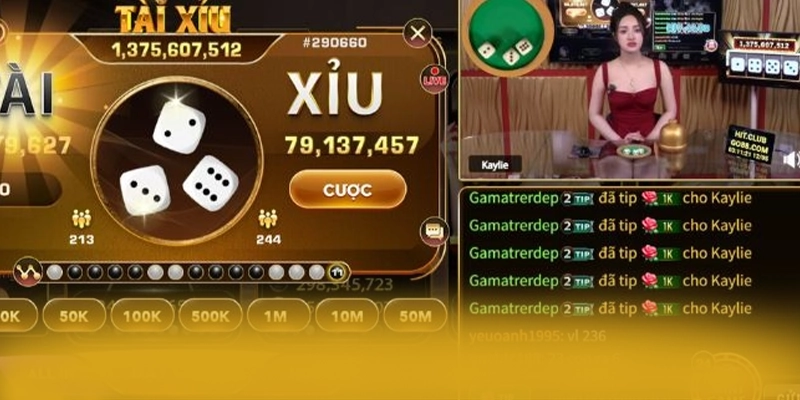 CONGA6789 - Ứng dụng giải trí có quà tặng đặc biệt được quan tâm nhất – Tìm hiểu CONGA6789